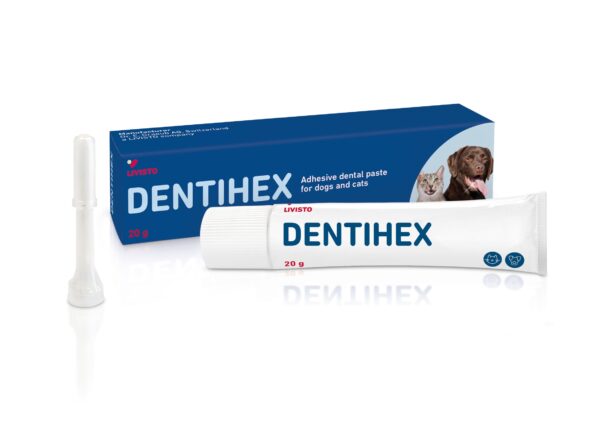 Dentihex hammasgeeli koirille ja kissoille (ent. Dentisept)