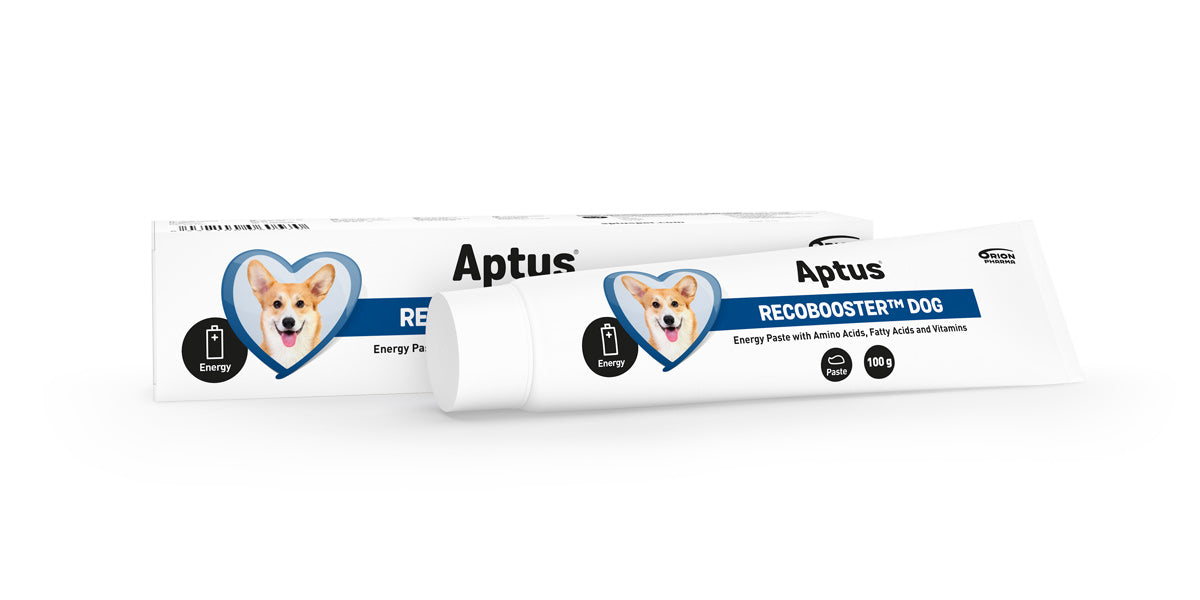 Aptus Recobooster Dog 100g