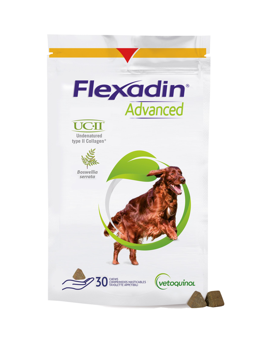 Flexadin Advanced -nivelravinne koirille -Eri pakkauskokoja