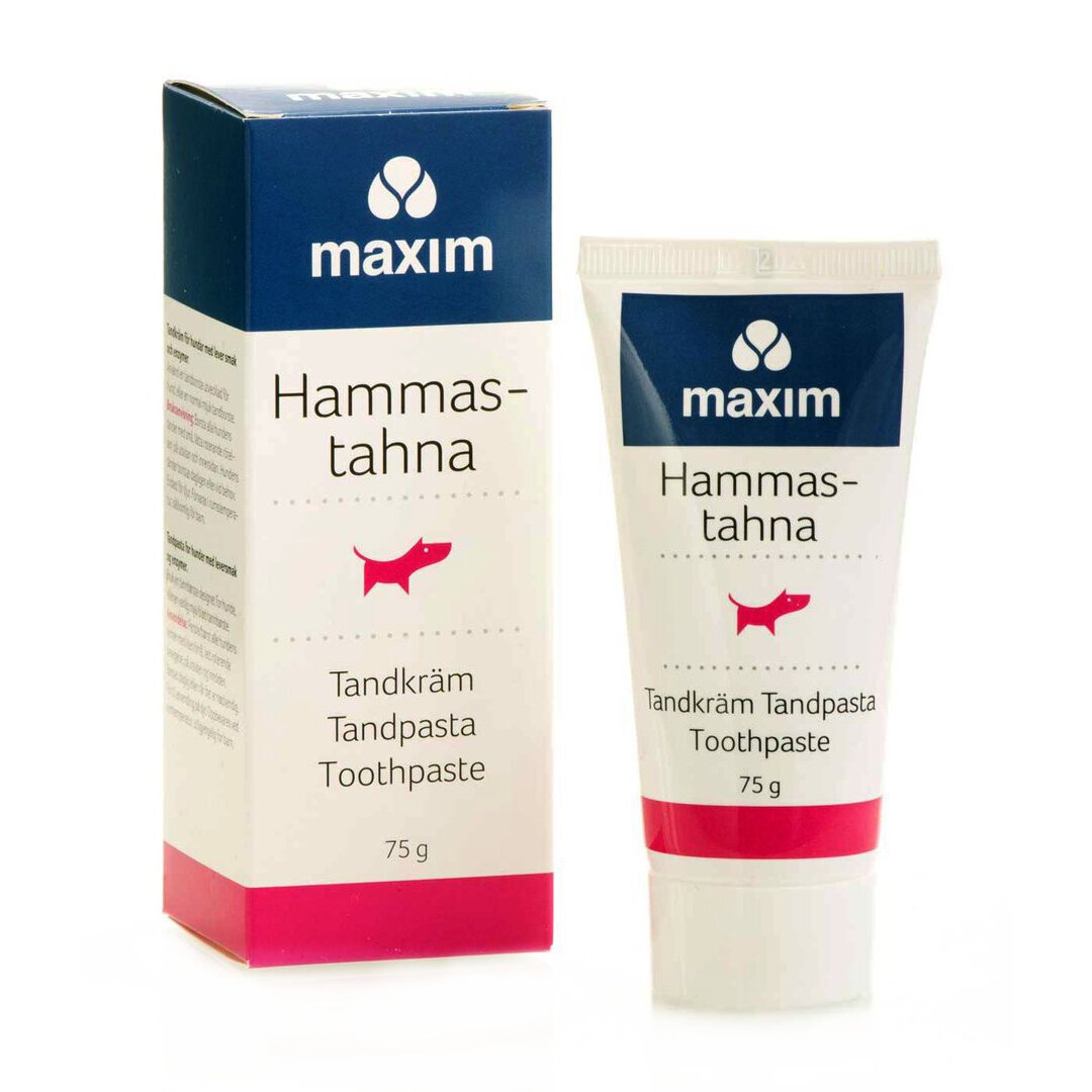 MAXIM KOIRAN HAMMASTAHNA 75 g